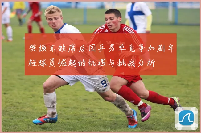 樊振东缺席后国乒男单竞争加剧年轻球员崛起的机遇与挑战分析