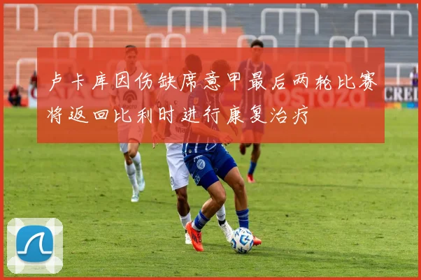 卢卡库因伤缺席意甲最后两轮比赛将返回比利时进行康复治疗